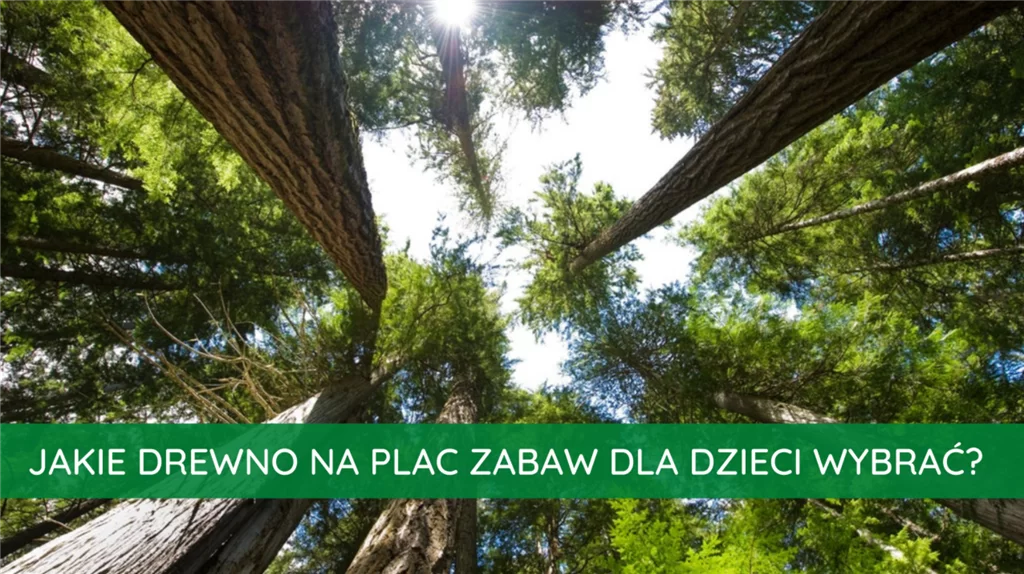 Jakie drewno na plac zabaw dla dzieci wybrać?